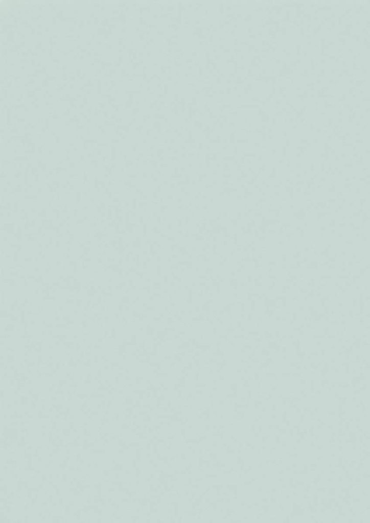 supermatt light grey door